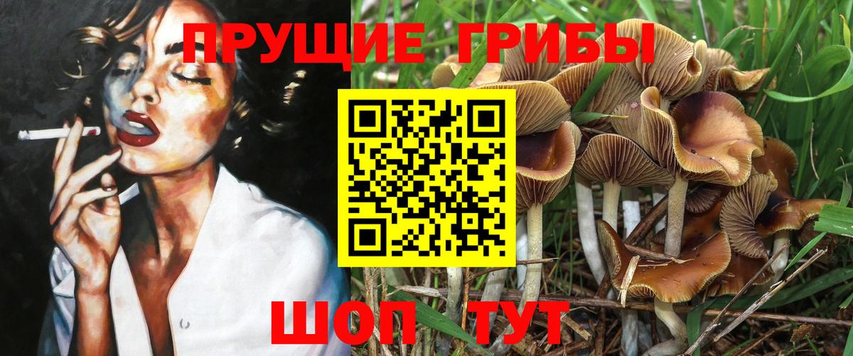 Галлюциногенные грибы Psilocybe Хабаровск