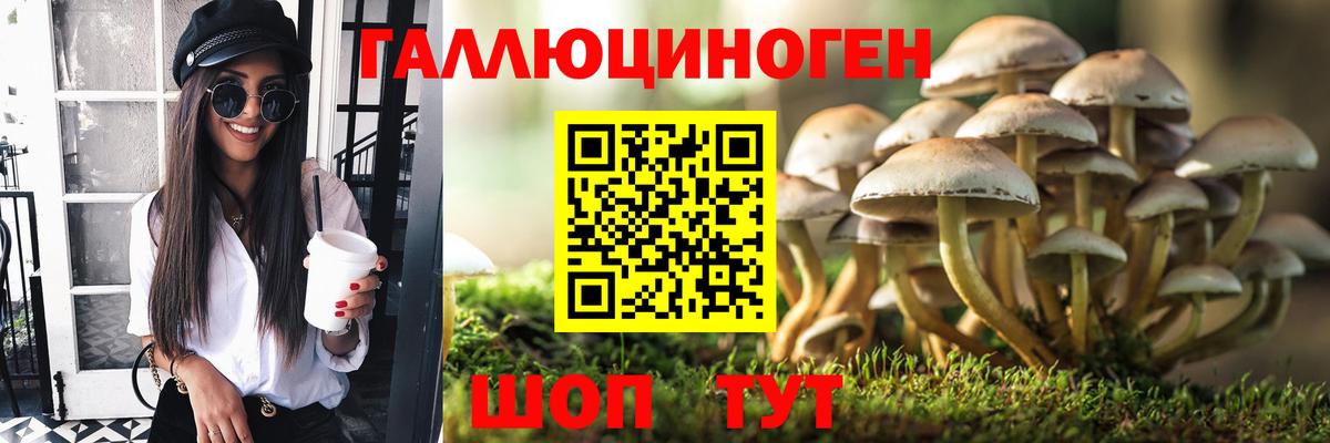 Хабаровск  Псилоцибиновые грибы ЛСД  Галлюциногенные грибы мицелий  Вход с VPN 